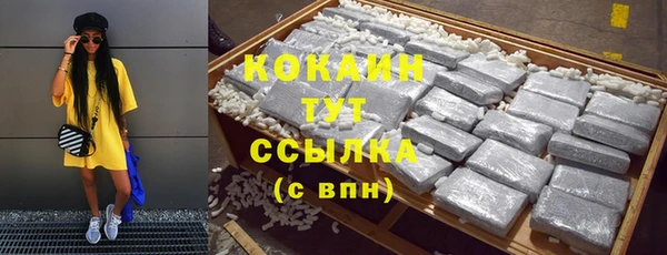Альфа ПВП Аркадак