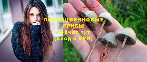 Альфа ПВП Аркадак