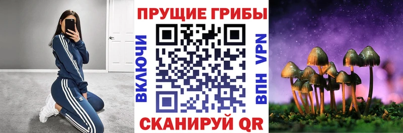 Псилоцибиновые грибы MAGIC MUSHROOMS наркотики Тюкалинск